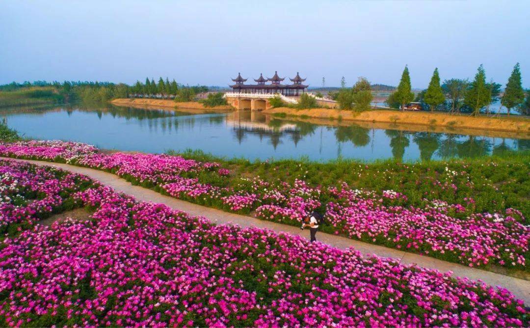 洪泽湖风景区照片图片