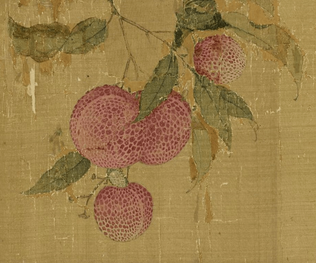 一骑红尘妃子笑看看宋徽宗笔下的荔枝图