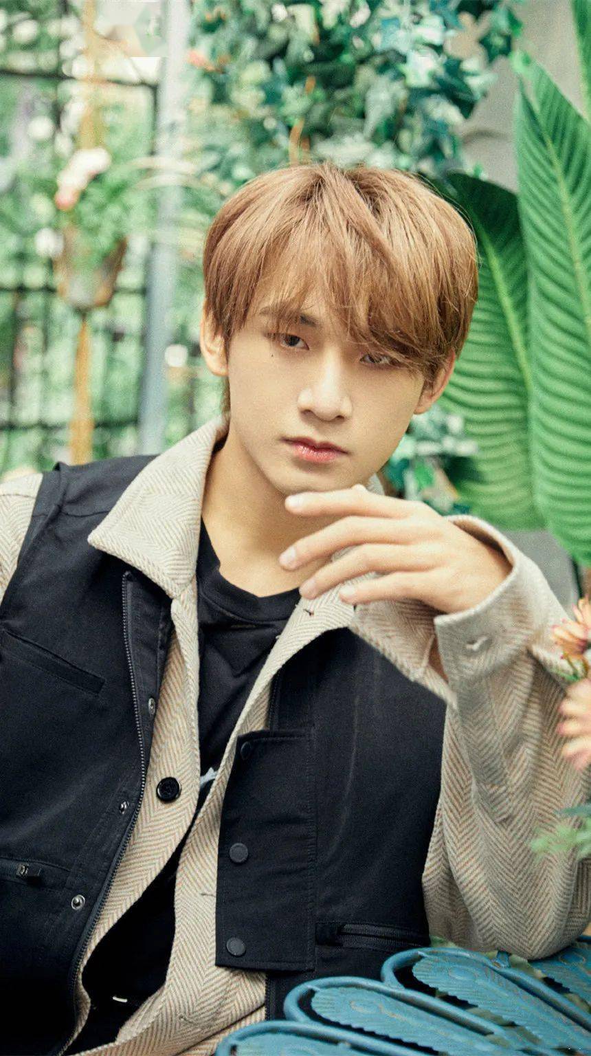 手机壁纸r1se姚琛