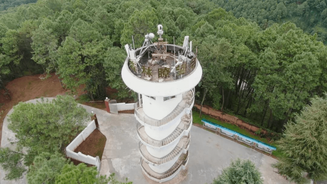 叮请查收西昌人的2020年度关键词