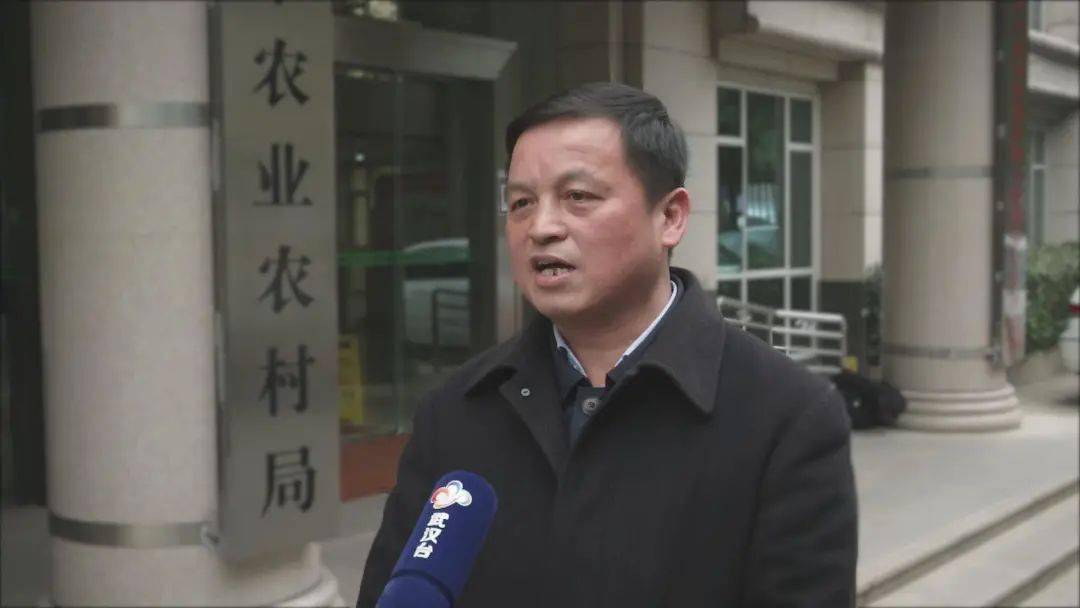 武汉市农业农村局副局长 丁朝辉武汉"三乡工程"荣获2018年"中国三农