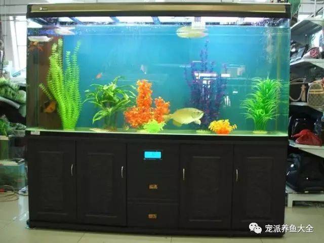 分享| 水族箱漏水的可能原因和解決辦法…_魚缸