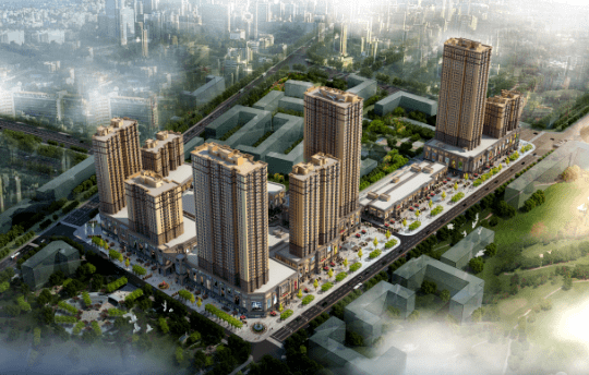 大张庄项目部优秀奖《科学管理,复工大干》濮阳圣桦项目部《展望2021