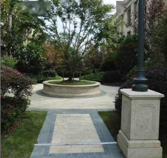 石简单的就采用4根切角的长条石组成,将树坑包围,也有各种圆形等款式