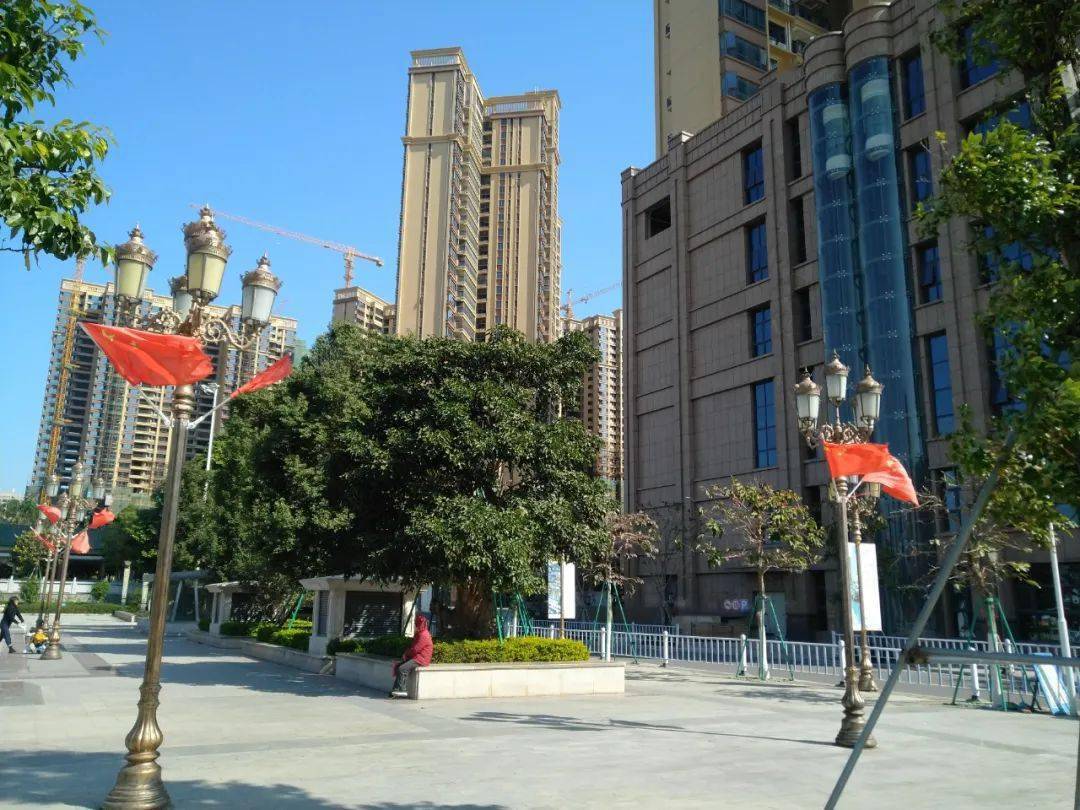 新年元旦,游赏海丰金山公园意外发现这个