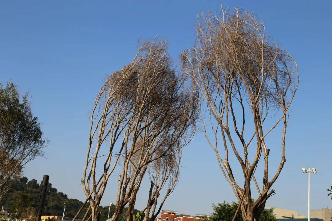 宁德市区内新增了儿童公园?地址就在