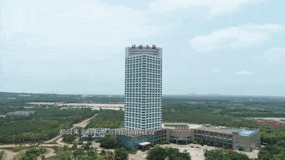 潮涌洋浦|洋浦引来人才"新面孔"_海南