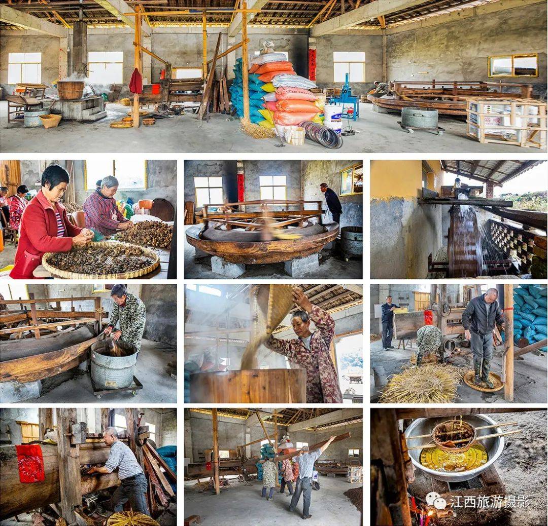 孙民恩《古法榨油 茶油飘香》