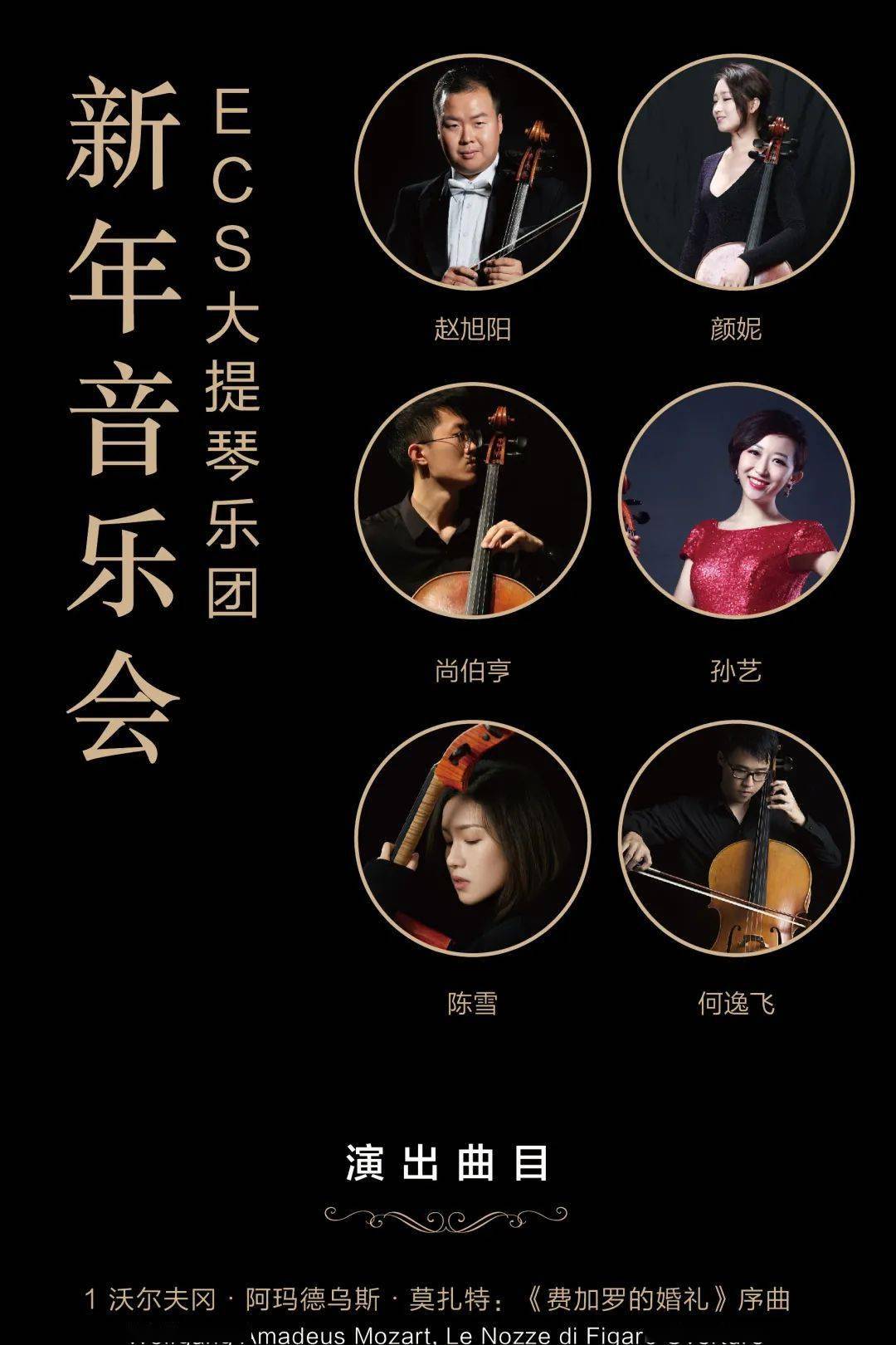 十二乐坊成员照片