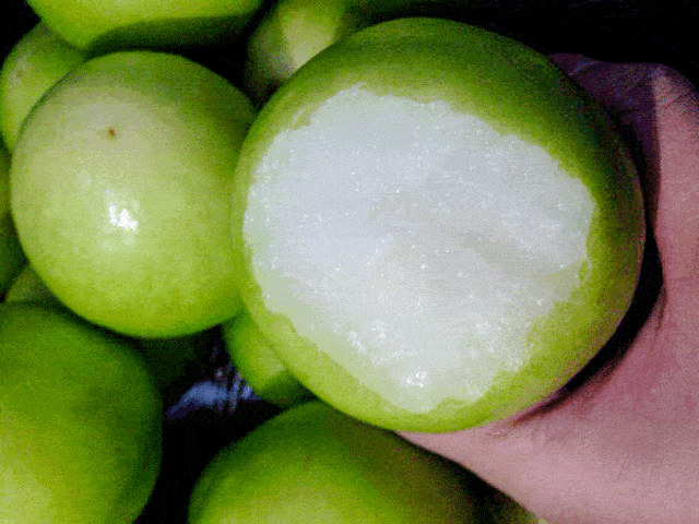 640_480gif 动态图 动图