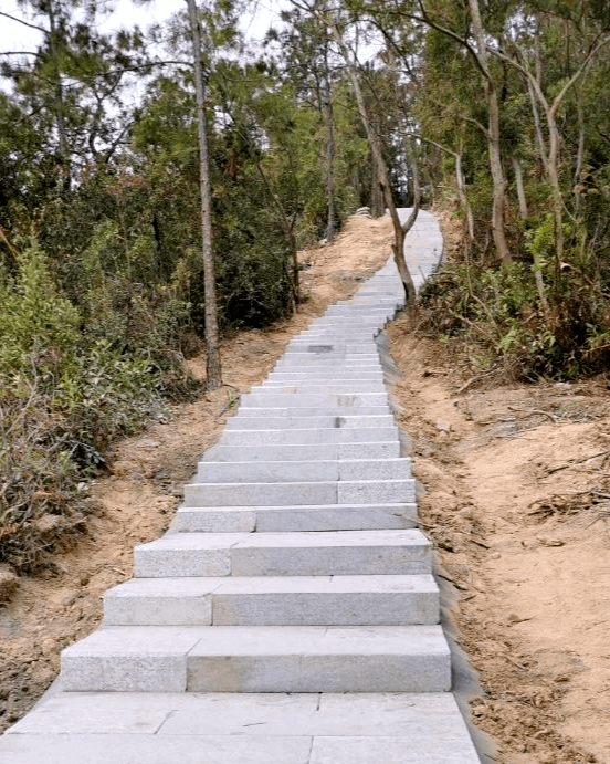 "新建成的登山步道,为黄杨山的旖旎风光增添了活力,也为大家提供了