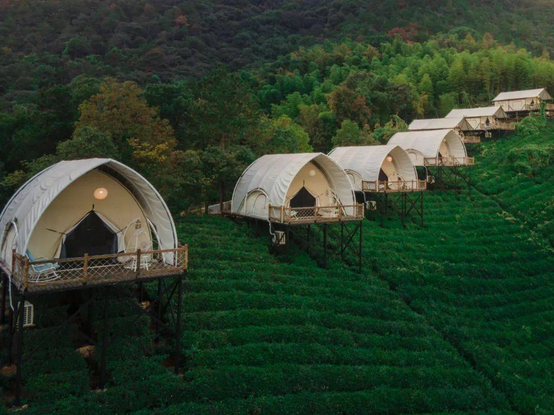人均150 住不输南非的野奢茶园帐篷屋,玩耗资十亿的宝藏园区,还有熊猫