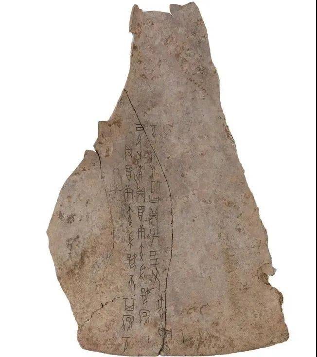 文博纵览妇好娩卜骨