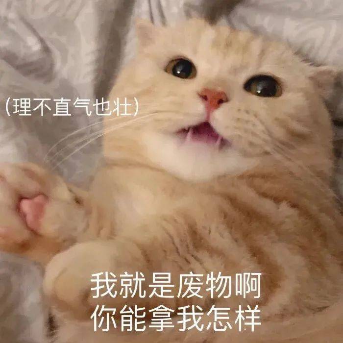 沙雕趣味好玩的表情包