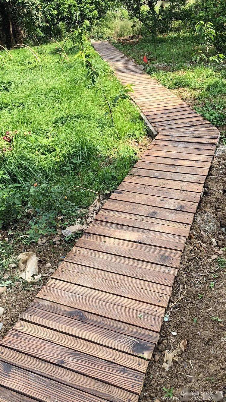 回归田园,逐梦花丛