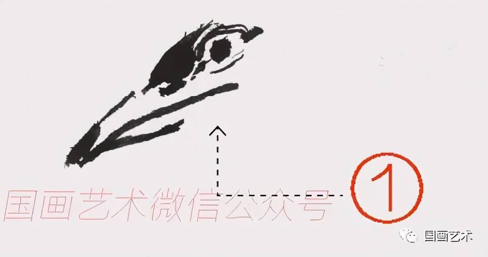 图文教程:轻松学画喜鹊,鸳鸯