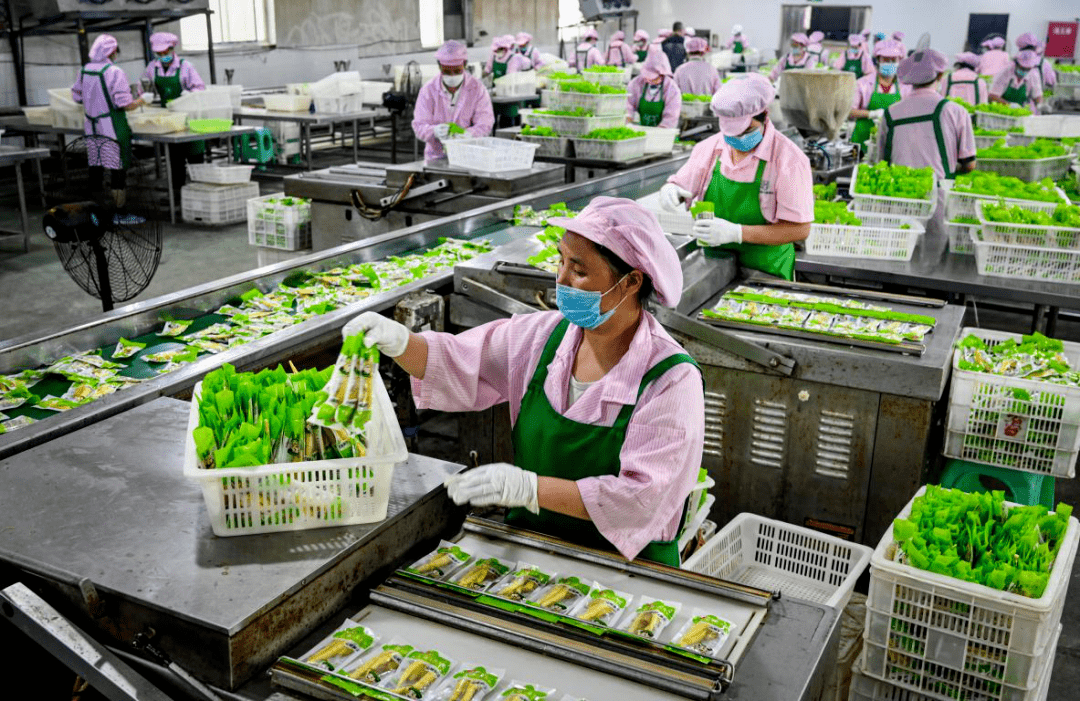 昭通市扶贫车间竹笋加工现场