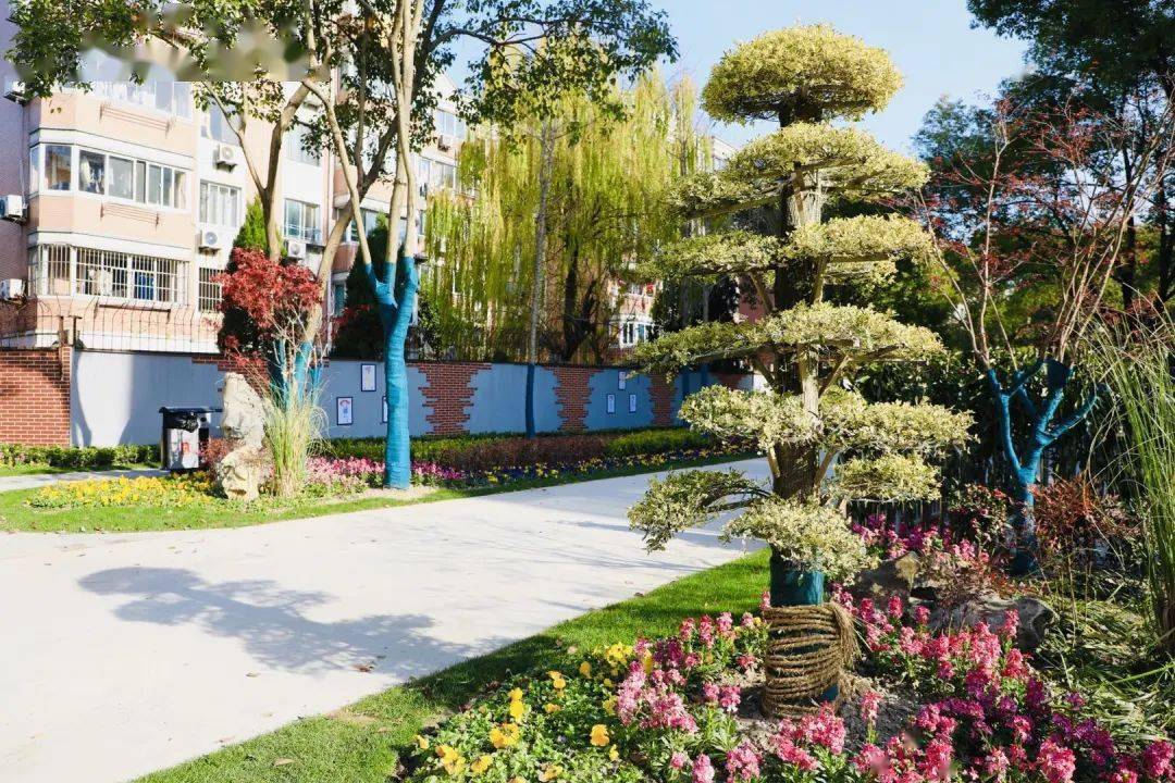 航华路街心花园改建完成,美到认不出