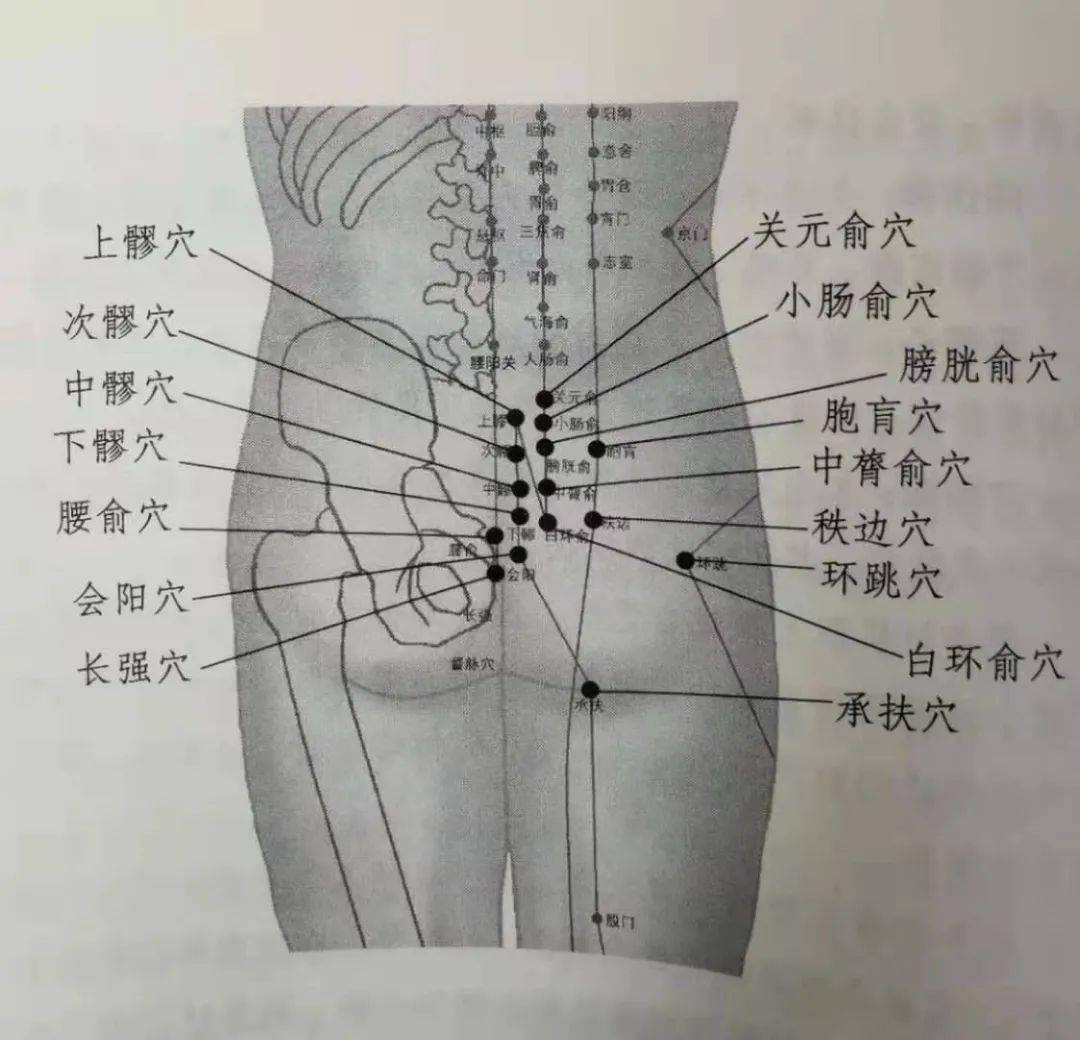 臀部的经络图解图片