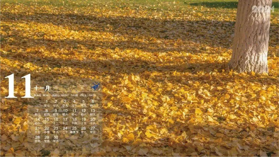 万里拾光 | 2021·万里专属月历来了_黄暖