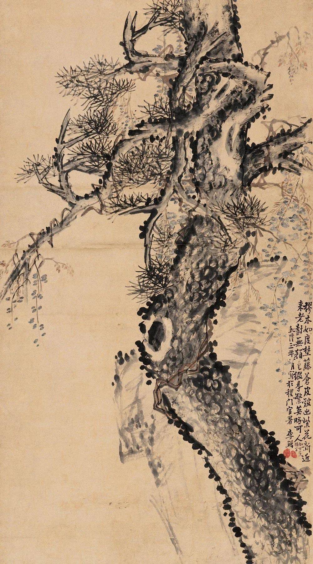 他笔下的松:怪枝横生,盘曲如龙!_松树