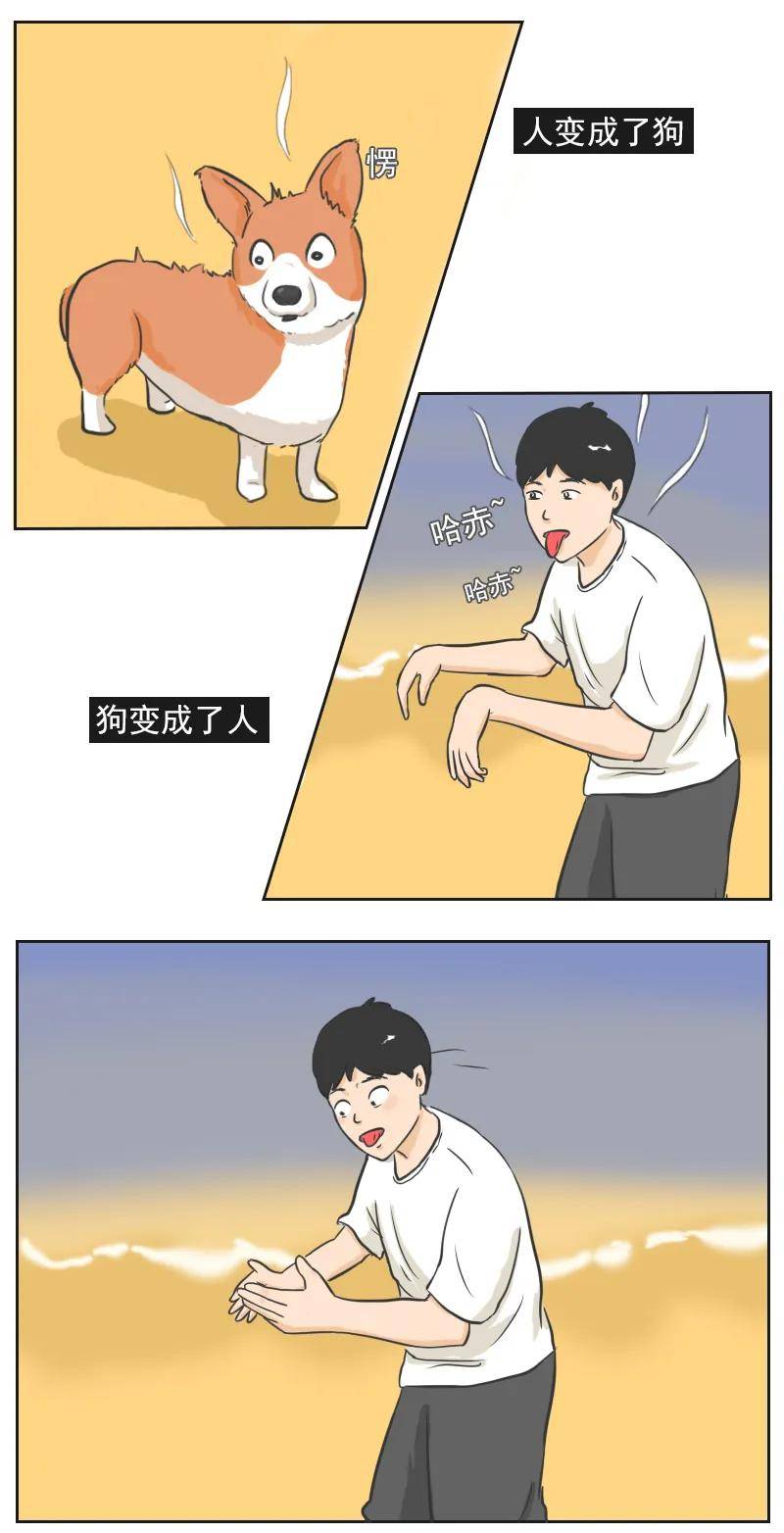 搞笑漫画:腿短不是我的错,要怪怪品种