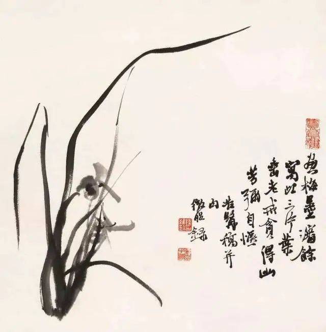 兰之猗猗,扬扬其香——近现代的兰花绘画_吴昌硕