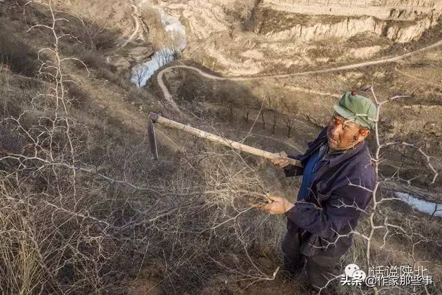 习俗 陕北人最儿时的乡愁—打焰火_圪针