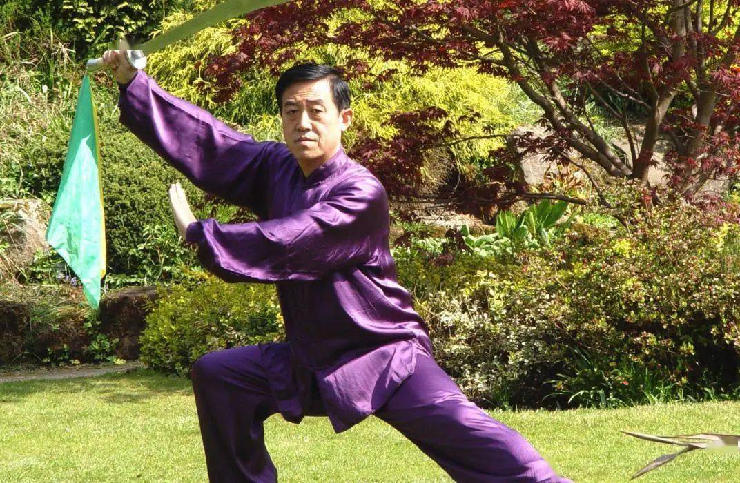 话说太极拳|都是大师!还有太极八法技……(连载)_陈正雷