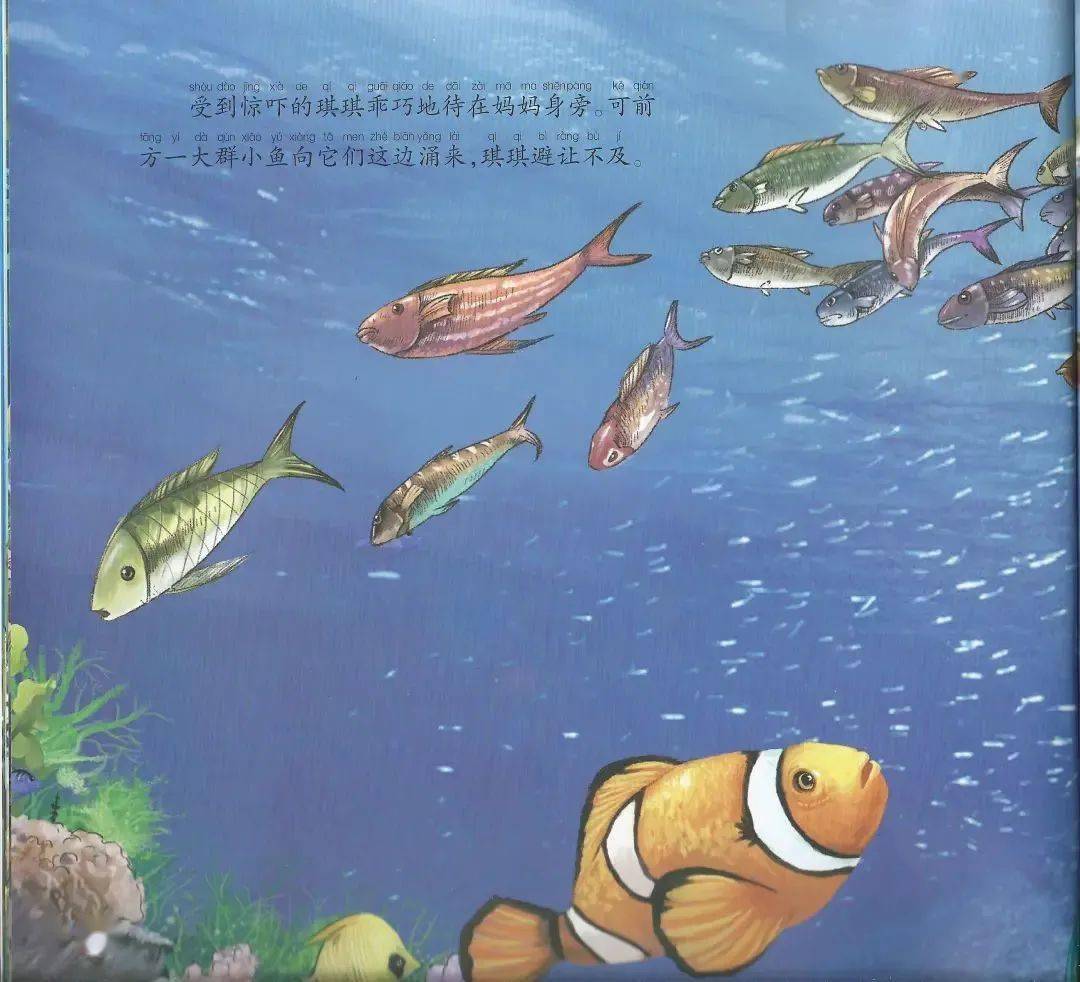 科学小故事鲨口余生