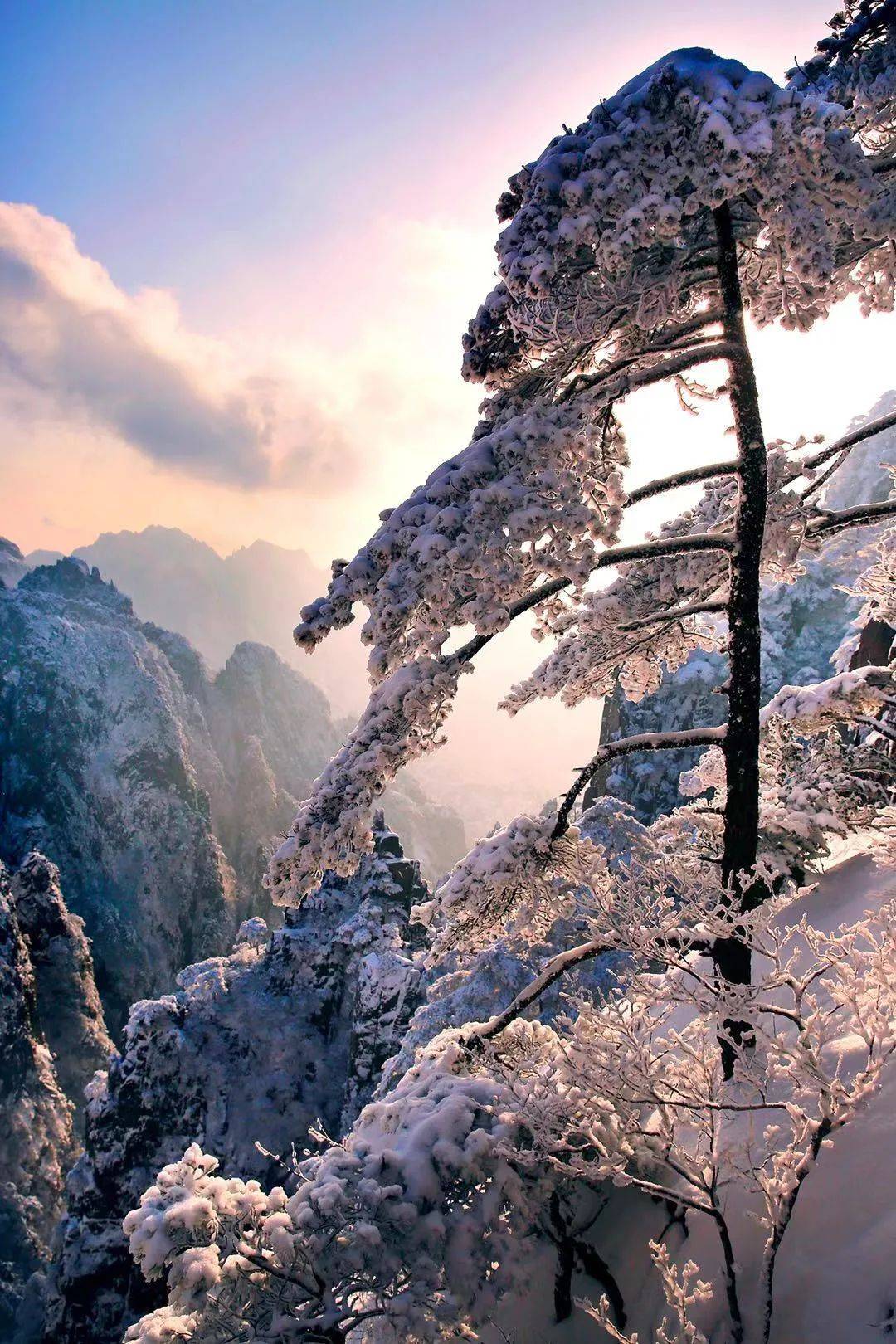 黄山冬韵,云海,温泉,冬雪,雾凇.开撩了