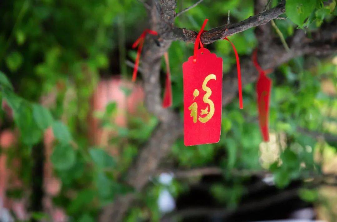 这8个有损福报的习惯,新年里赶紧改了!