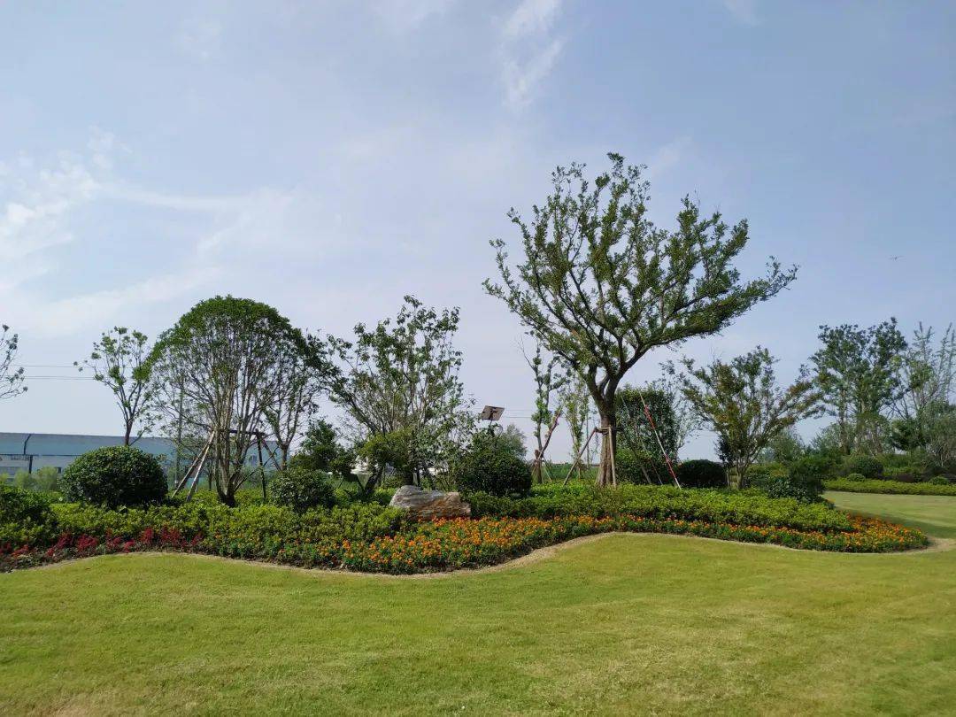 点赞!秀湖公园和东升西路上榜省级名单