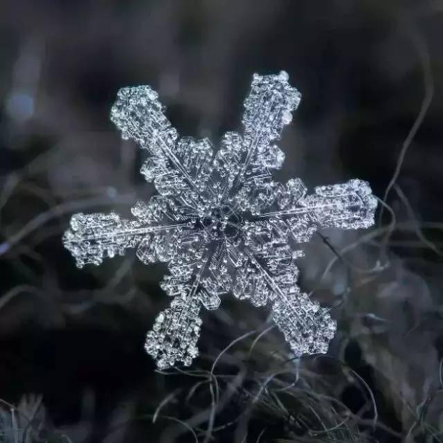 雪花都是六瓣狀嗎