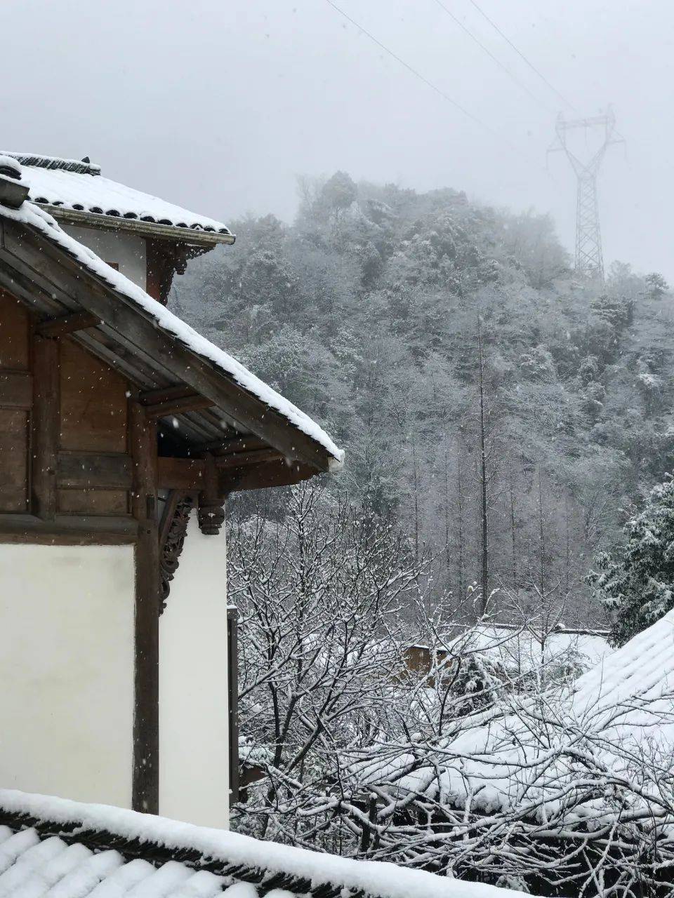 都江堰灵岩山新年第一场雪满是古风之美