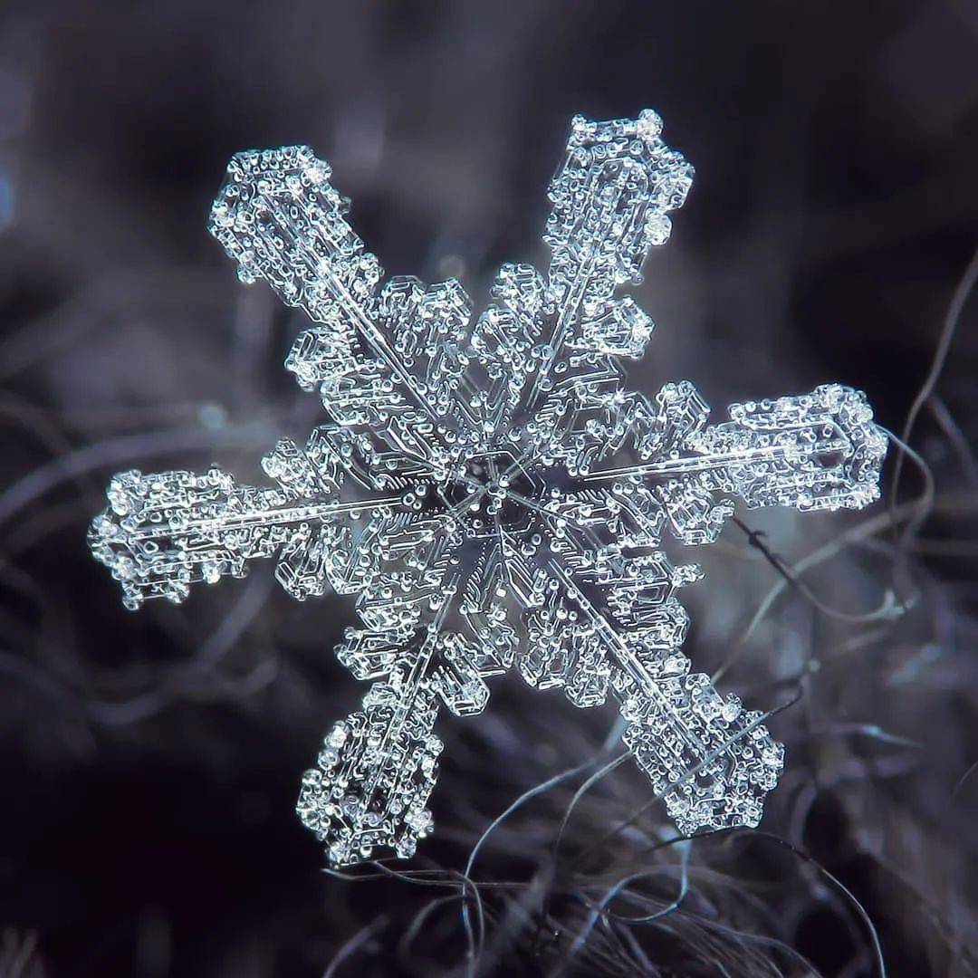 ▼12瓣雪花晶体是怎么样的高端设备,才将雪花拍的这么美!