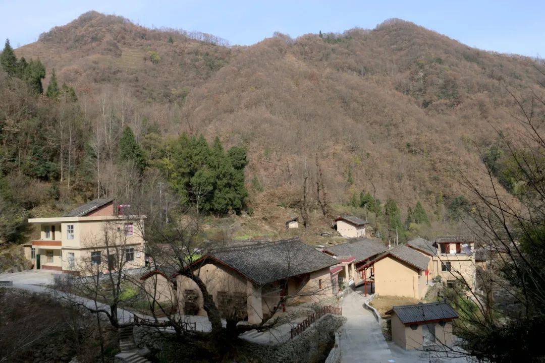 老村旧貌换新颜从一个乡村华丽转身看康县美丽乡村建设一