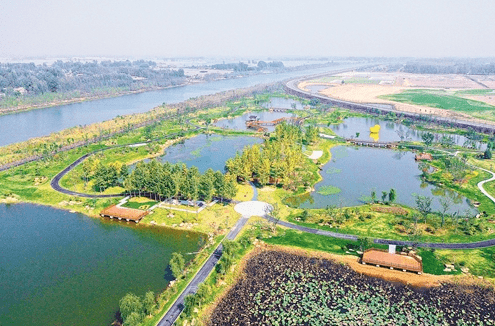 原阳湿地公园简介图片