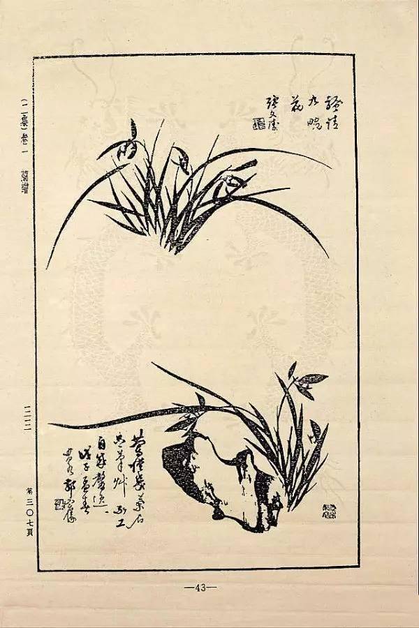 传世经典芥子园画谱之兰谱