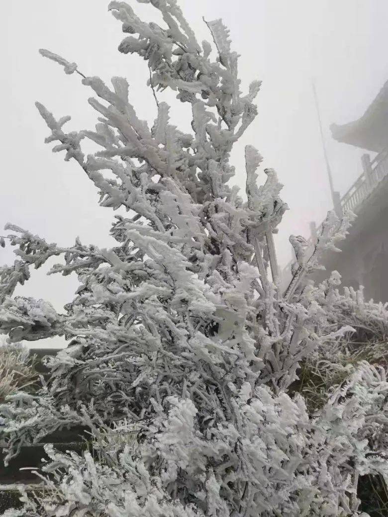 今天钦州最低气温低至3℃,这些地方都结冰了…_灵山