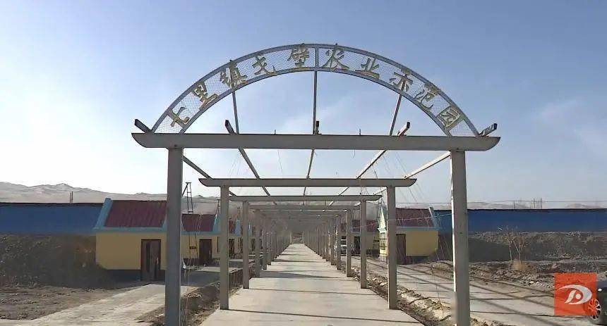 换出新气象逐梦新征程敦煌市七里镇秦家湾村党总支发展乡村旅游打造