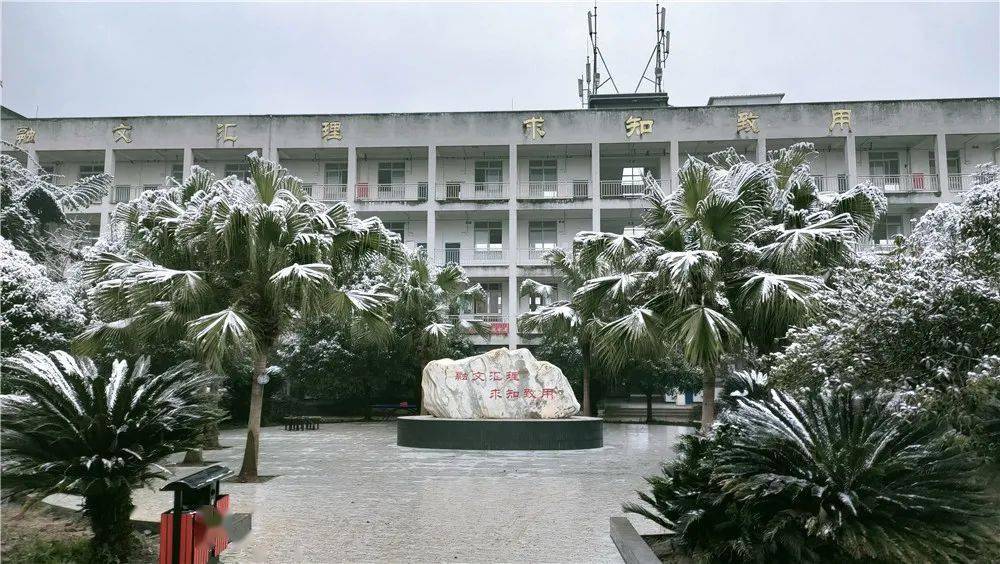 79供稿:端淑幼儿园,何场小学,顺龙小学,文汇中学,张场小学,齐乐小学
