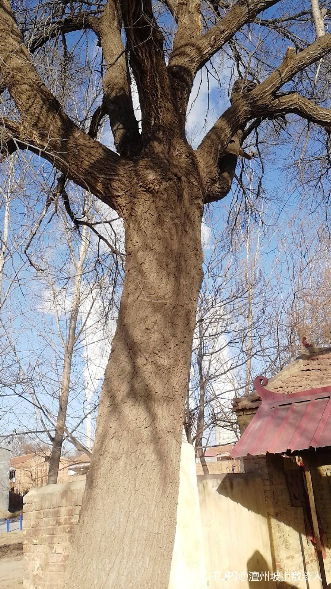 您听说过老石奶奶吗?她究竟是谁呢?