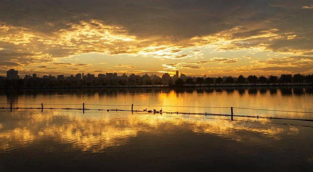 大奖揭晓 | 大美双西"秀色"撩人,这波美照,你pick哪张?_西溪湿地