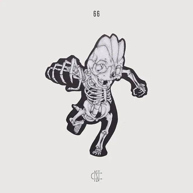 之三初代宝可梦骨骼解剖你能认出来几个