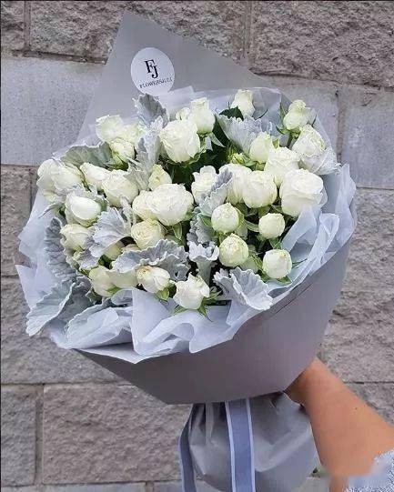 花艺也要温暖过冬加了绒的银叶菊时髦又抗寒