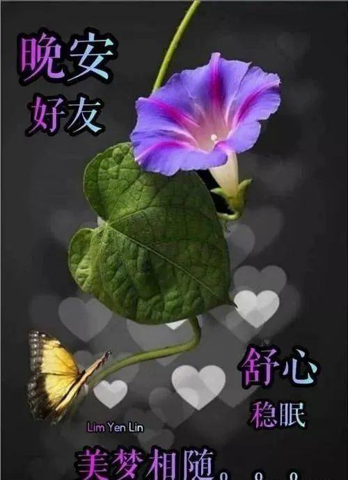 群發晚上好問候動畫表情包睡前晚安問候祝福圖片帶字