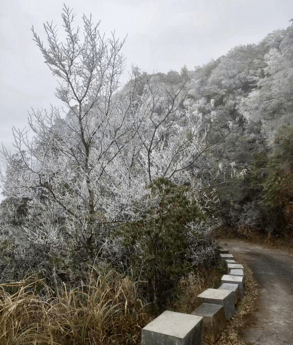 罗浮山结冰图片