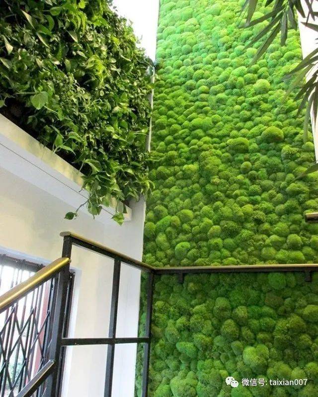 永生苔藓制作的植物墙非常适用于图书馆,餐厅,会客厅等公共场所.