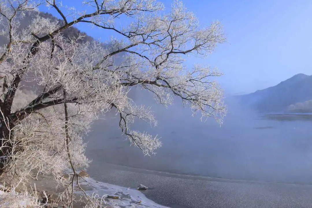 林口霧凇夢幻冬景